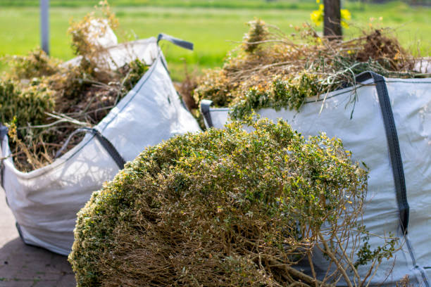 Best Office Junk Removal  in Langston, OK